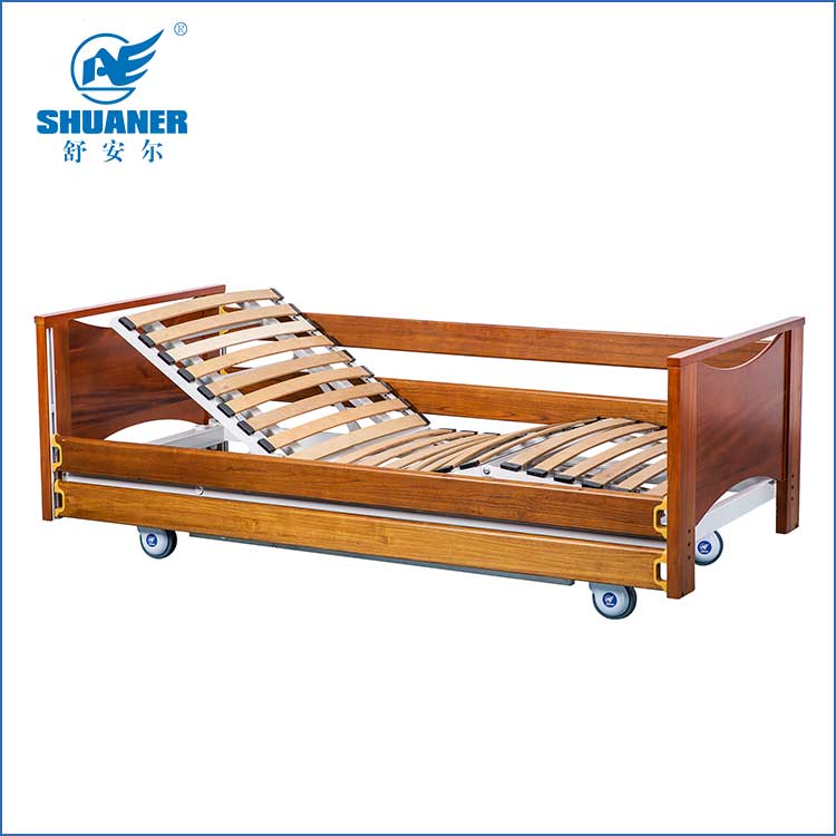 Elige quam Electric Domus Tutela Bed